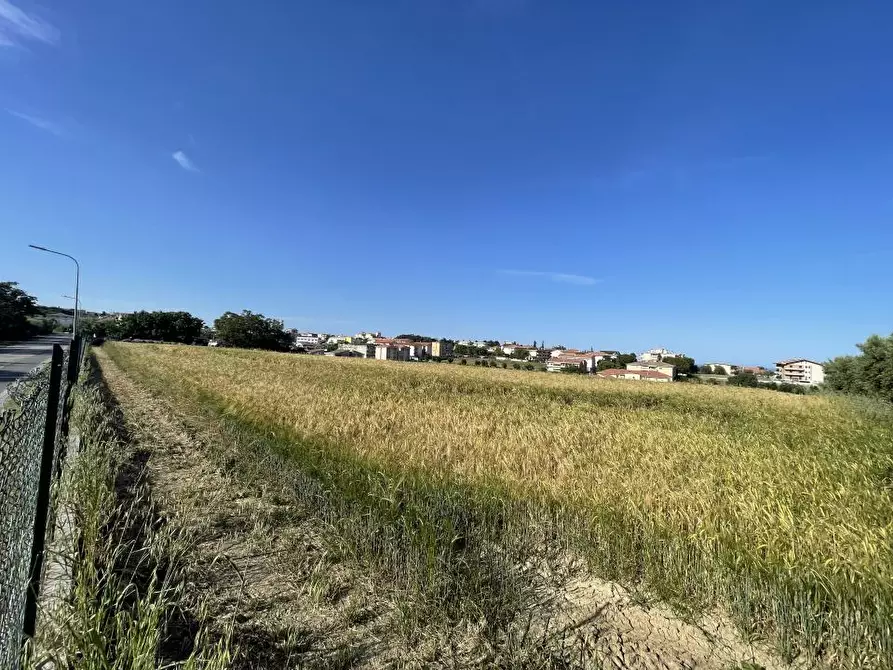 Immagine 4 di Terreno edificabile in vendita  a Mosciano Sant'angelo