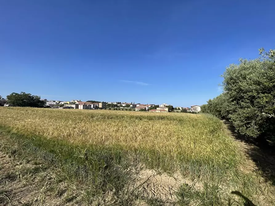 Immagine 3 di Terreno edificabile in vendita  a Mosciano Sant'angelo