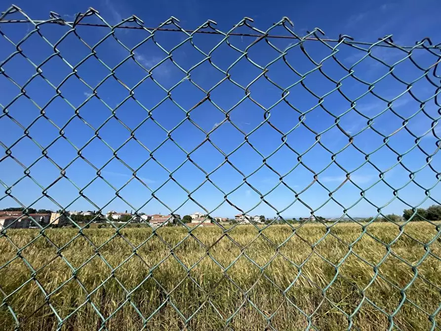 Immagine 10 di Terreno edificabile in vendita  a Mosciano Sant'angelo