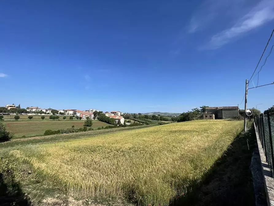 Immagine 8 di Terreno edificabile in vendita  a Mosciano Sant'angelo