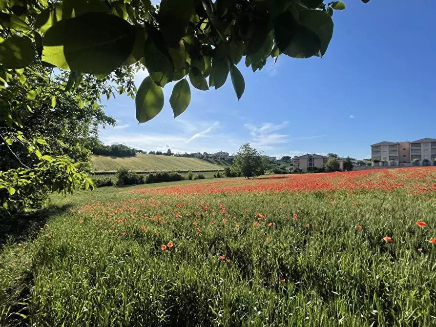 Immagine 3 di Terreno edificabile in vendita  a Mosciano Sant'angelo