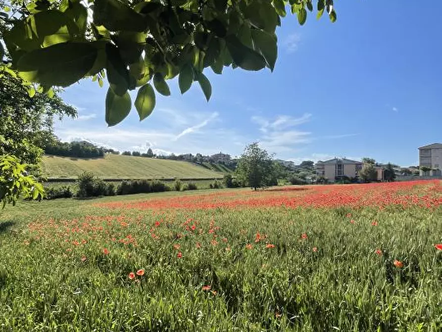 Immagine 6 di Terreno edificabile in vendita  a Mosciano Sant'angelo