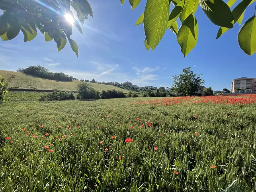 Immagine 4 di Terreno edificabile in vendita  a Mosciano Sant'angelo