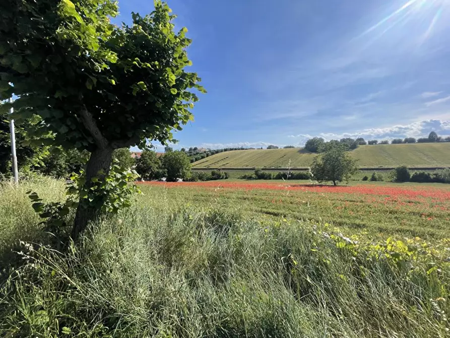 Immagine 7 di Terreno edificabile in vendita  a Mosciano Sant'angelo
