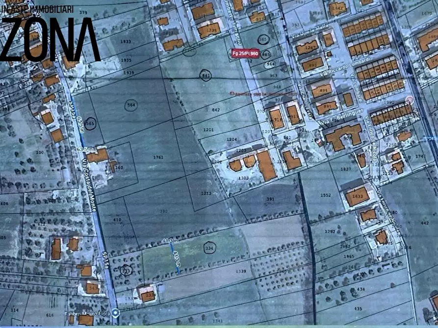 Immagine 2 di Terreno edificabile in vendita  a Mosciano Sant'angelo