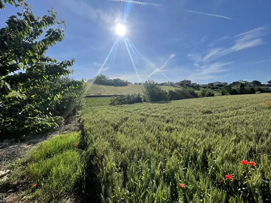 Immagine 5 di Terreno edificabile in vendita  a Mosciano Sant'angelo