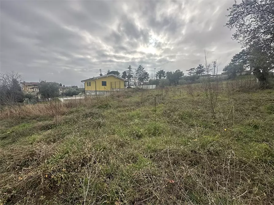 Immagine 10 di Terreno edificabile in vendita  a Bellante