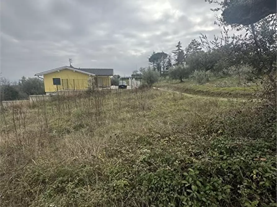 Immagine 4 di Terreno edificabile in vendita  a Bellante