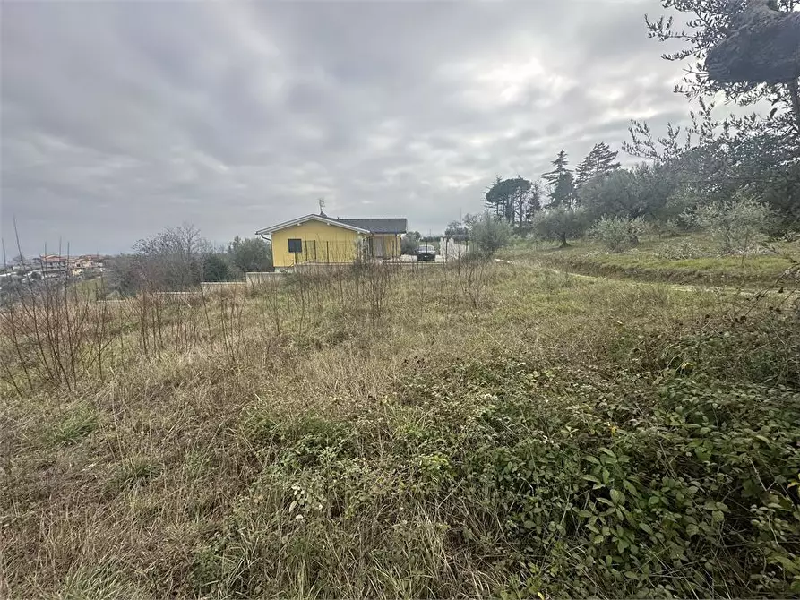 Immagine 5 di Terreno edificabile in vendita  a Bellante