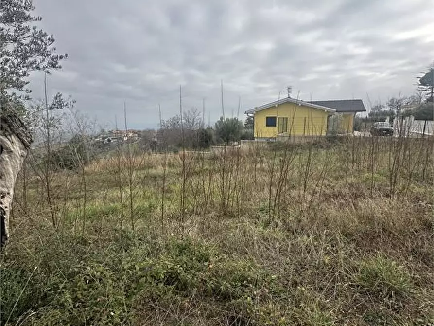 Immagine 9 di Terreno edificabile in vendita  a Bellante