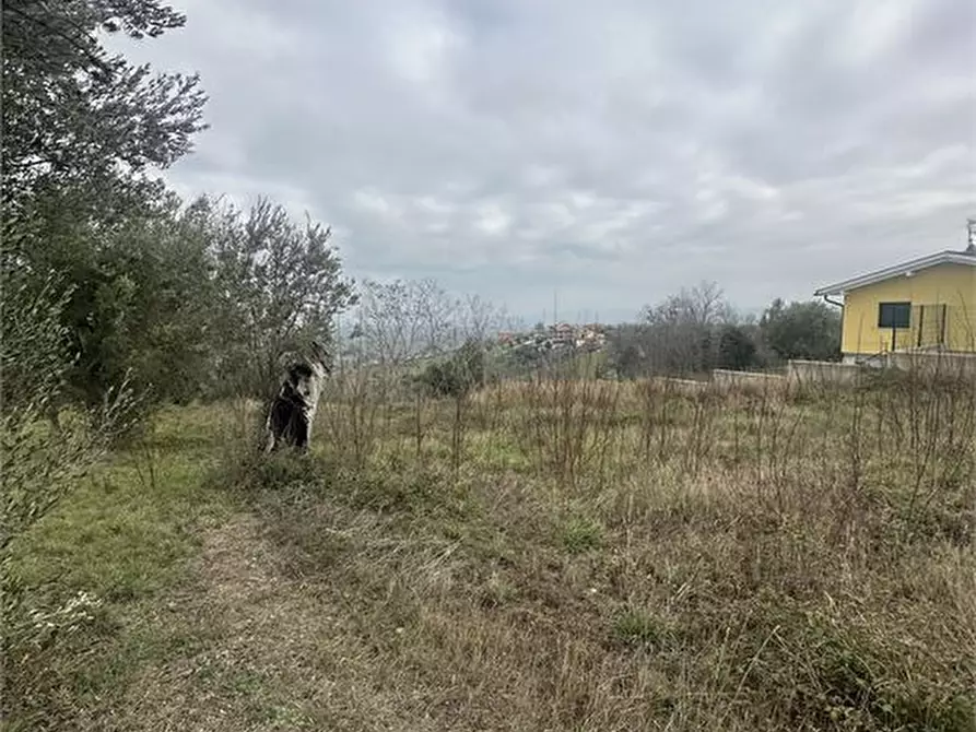 Immagine 6 di Terreno edificabile in vendita  a Bellante