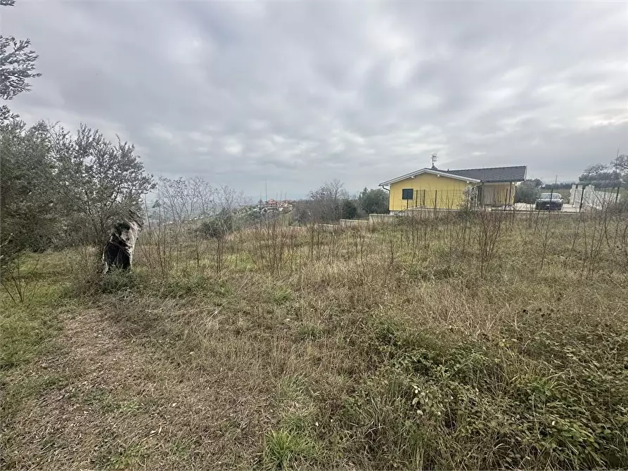 Immagine 3 di Terreno edificabile in vendita  a Bellante