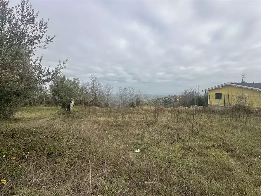Immagine 1 di Terreno edificabile in vendita  a Bellante