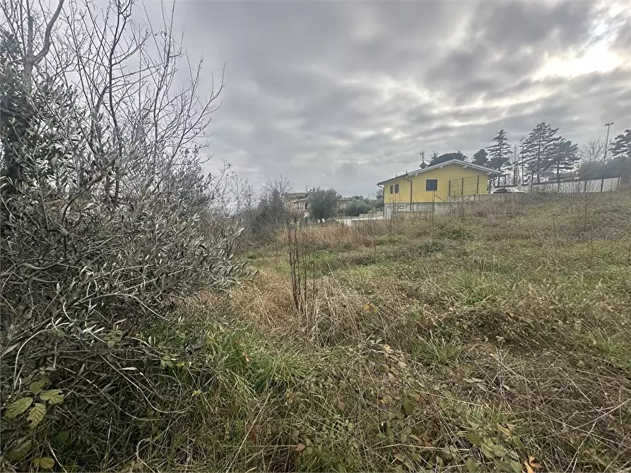 Immagine 8 di Terreno edificabile in vendita  a Bellante