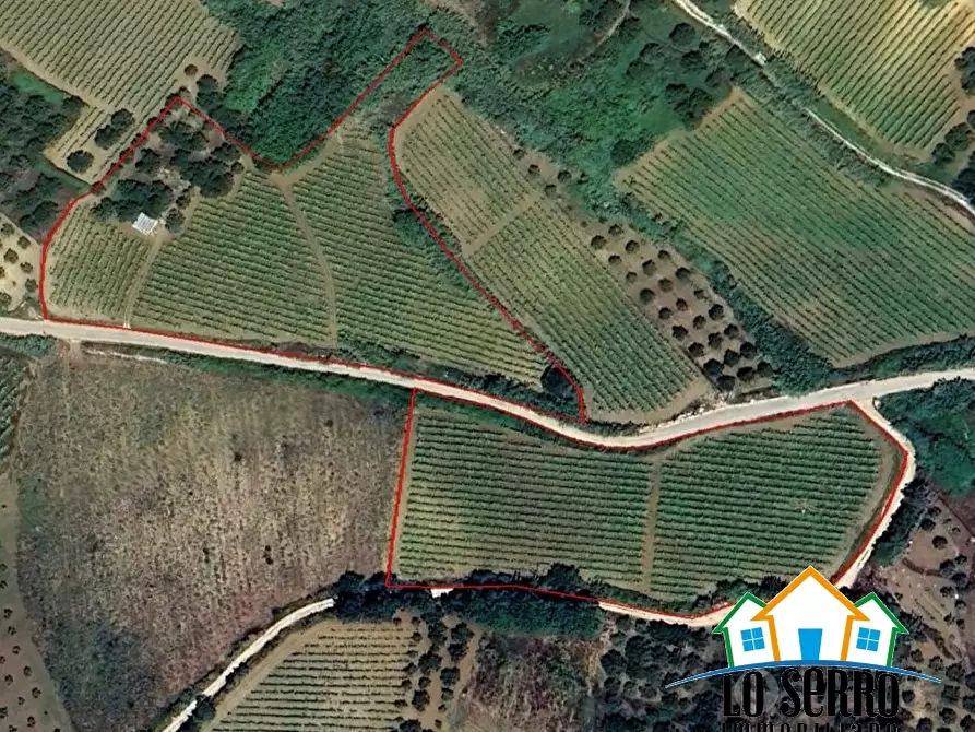 Immagine 5 di Terreno edificabile in vendita  a Alcamo