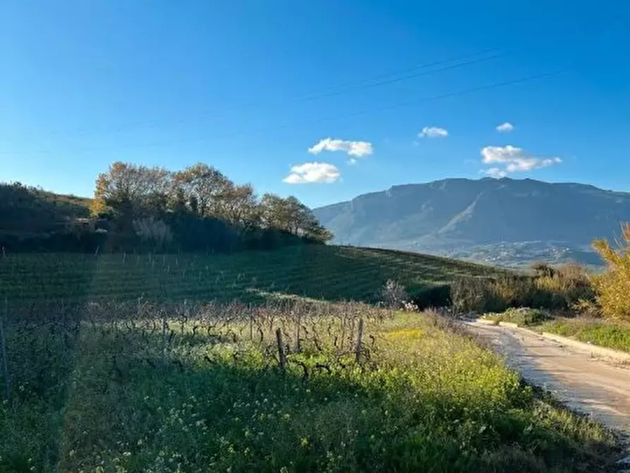 Immagine 3 di Terreno edificabile in vendita  a Alcamo