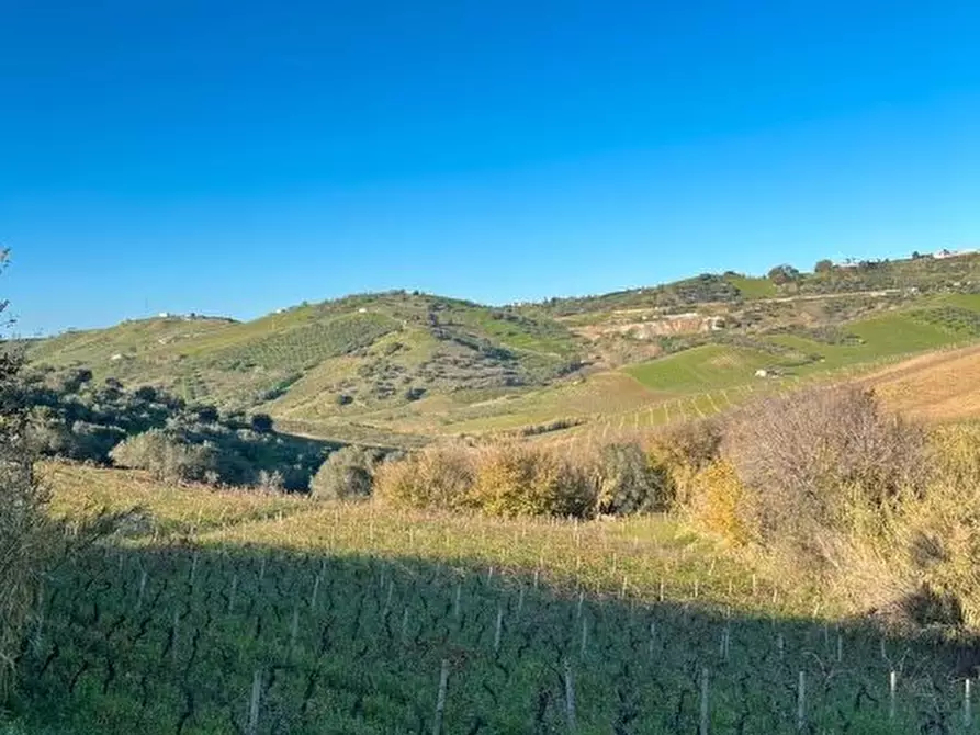 Immagine 4 di Terreno edificabile in vendita  a Alcamo