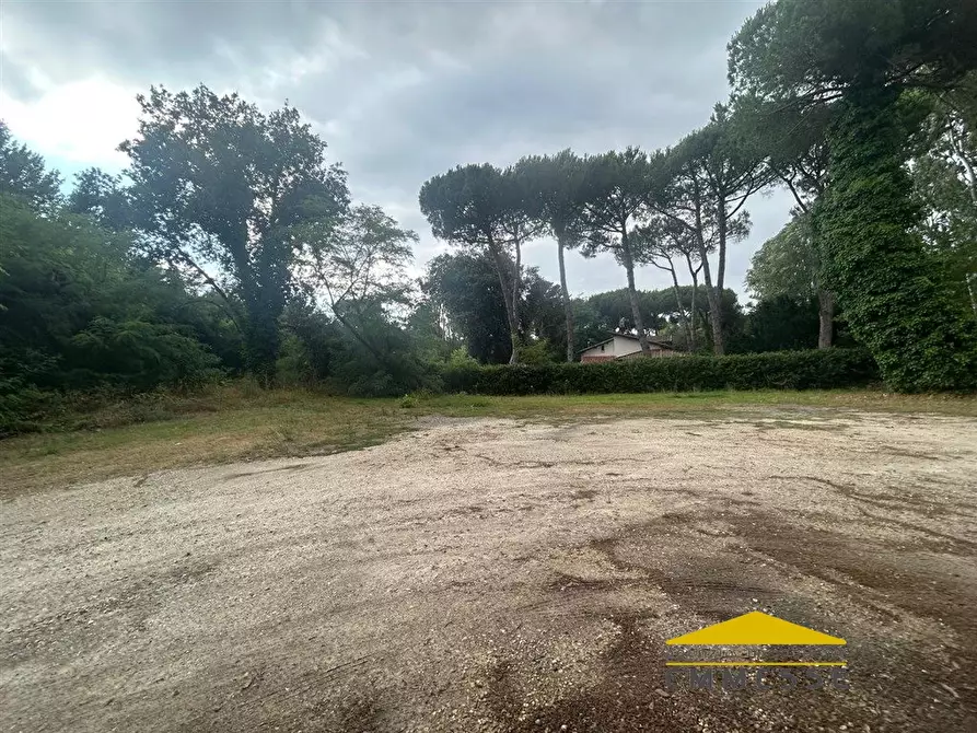 Immagine 3 di Terreno in vendita  a Massa