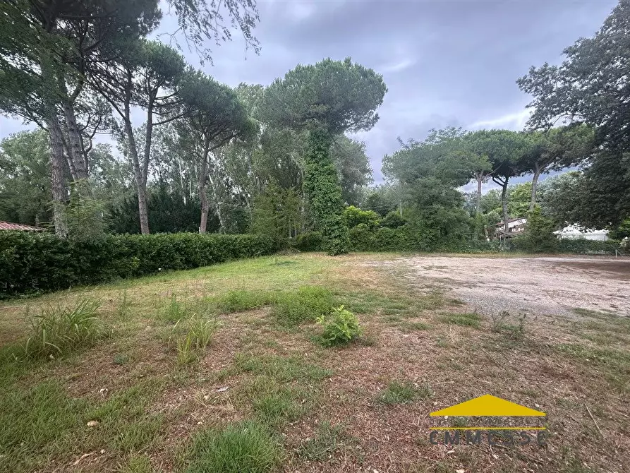 Immagine 2 di Terreno in vendita  a Massa