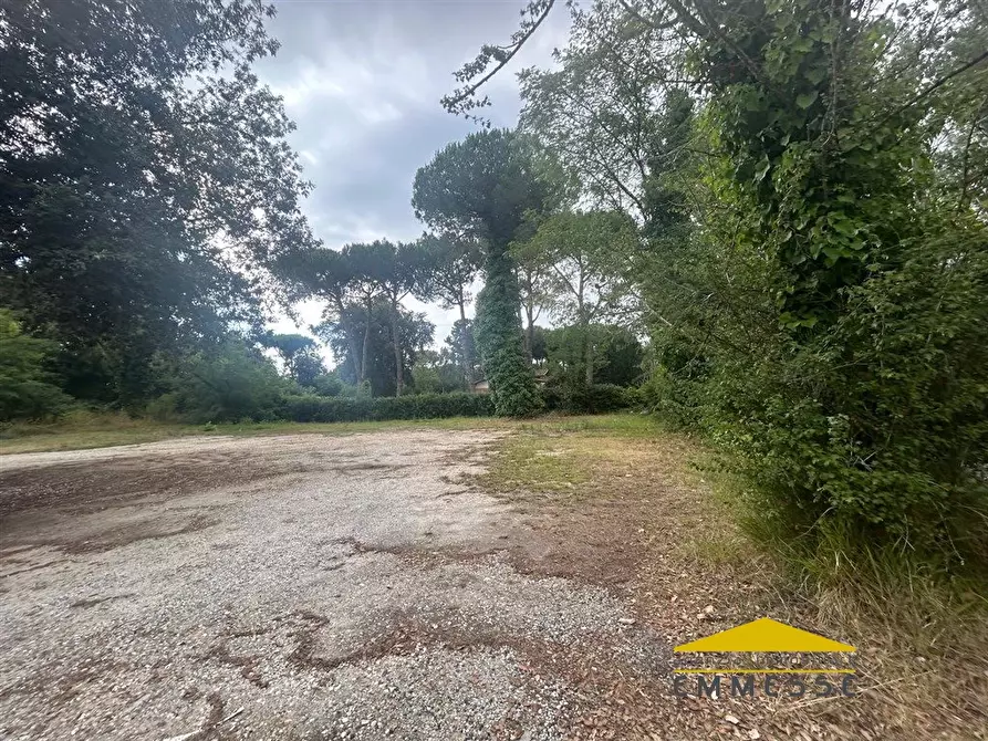 Immagine 5 di Terreno in vendita  a Massa