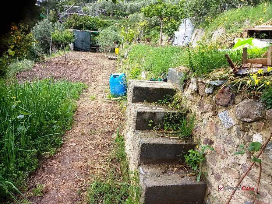 Immagine 4 di Terreno edificabile in vendita  a Messina