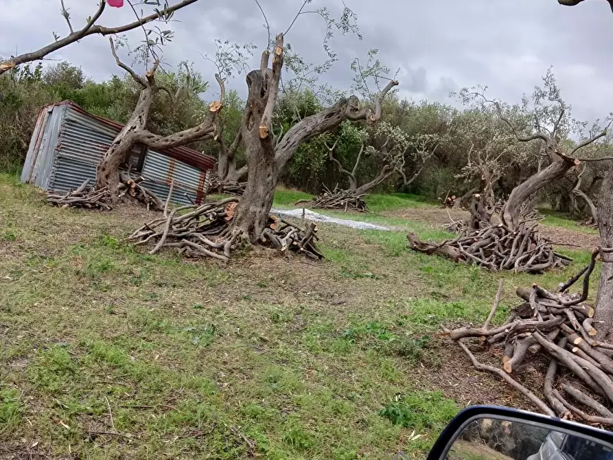 Immagine 3 di Terreno edificabile in vendita  snc a Messina