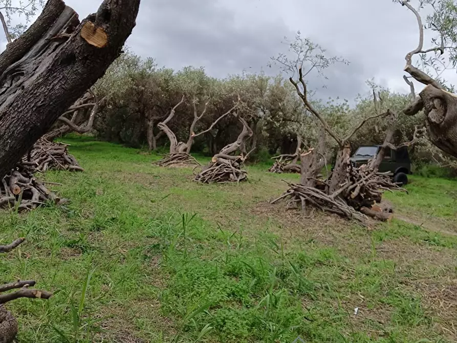 Immagine 2 di Terreno edificabile in vendita  snc a Messina