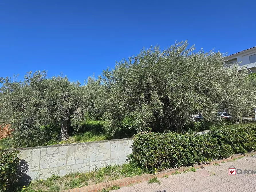 Immagine 3 di Terreno edificabile in vendita  a Pace Del Mela