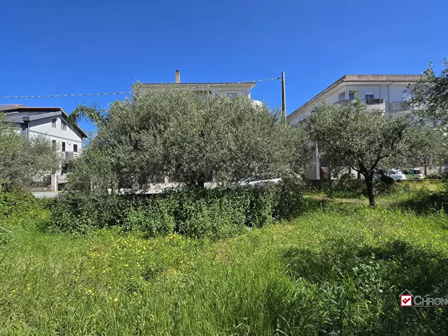 Immagine 7 di Terreno edificabile in vendita  a Pace Del Mela