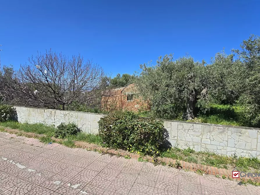 Immagine 5 di Terreno edificabile in vendita  a Pace Del Mela