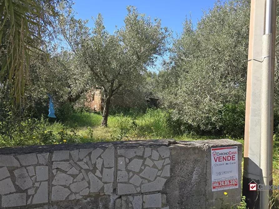 Immagine 10 di Terreno edificabile in vendita  a Pace Del Mela