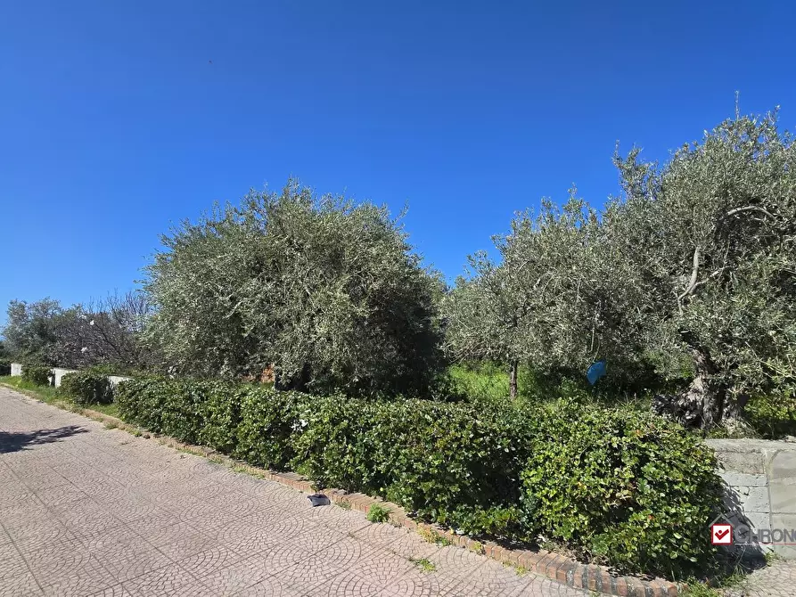 Immagine 2 di Terreno edificabile in vendita  a Pace Del Mela