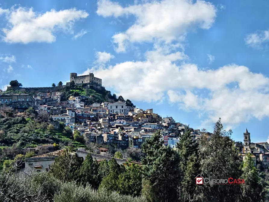 Immagine 4 di Terreno edificabile in vendita  a Caltagirone