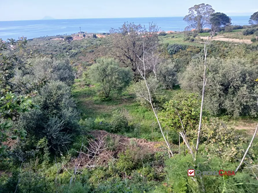 Immagine 10 di Terreno edificabile in vendita  a Messina