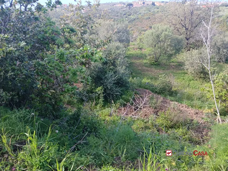 Immagine 9 di Terreno edificabile in vendita  a Messina