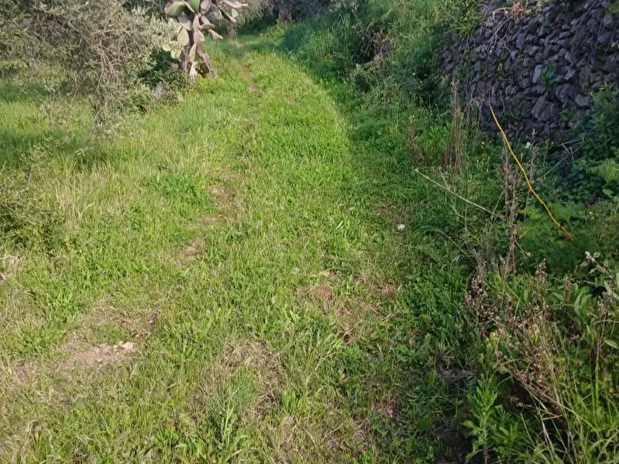 Immagine 4 di Terreno edificabile in vendita  a Messina