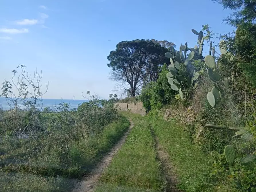 Immagine 1 di Terreno edificabile in vendita  a Messina