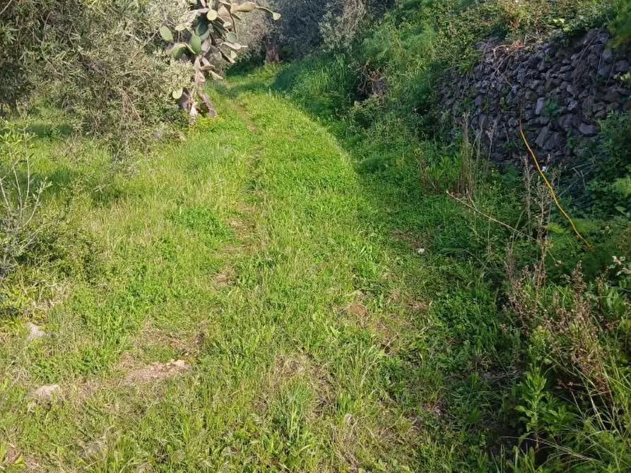 Immagine 2 di Terreno edificabile in vendita  a Messina