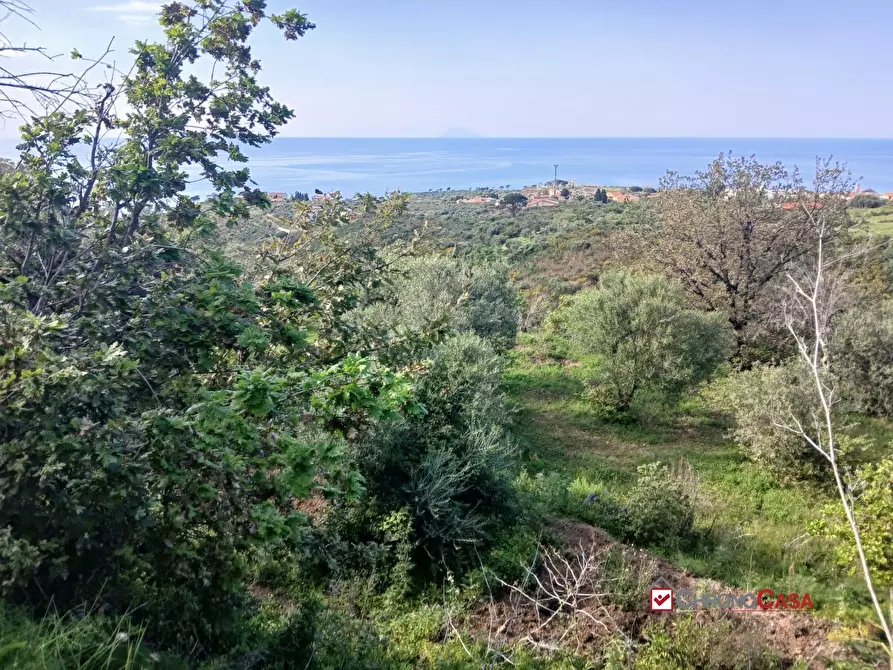 Immagine 8 di Terreno edificabile in vendita  a Messina
