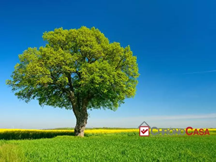 Immagine 1 di Terreno edificabile in vendita  a Messina