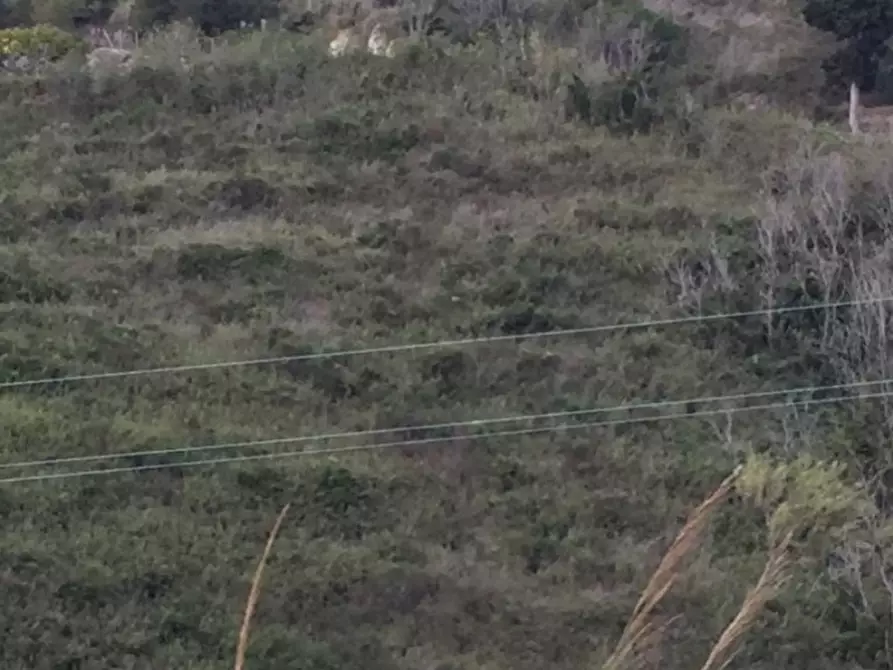 Immagine 4 di Terreno edificabile in vendita  a Messina