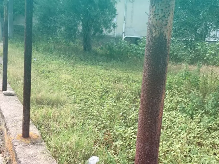 Immagine 7 di Terreno edificabile in vendita  a Messina