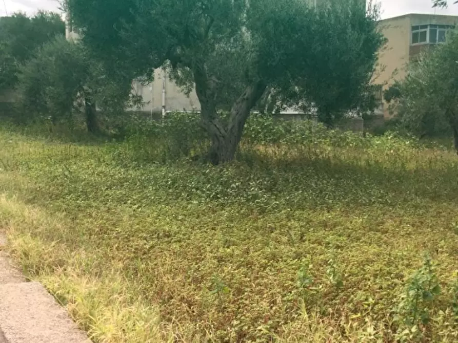 Immagine 5 di Terreno edificabile in vendita  a Messina