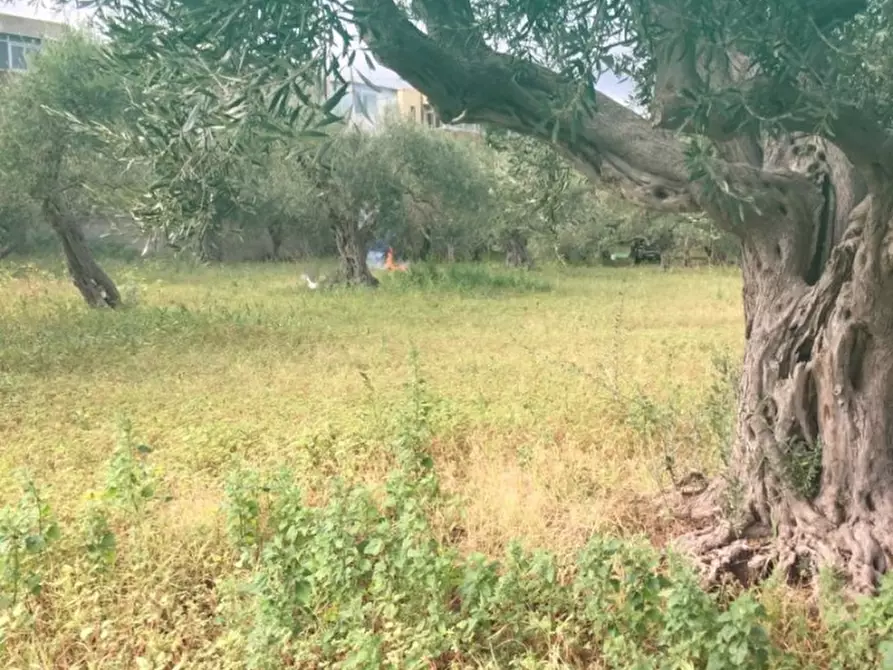 Immagine 4 di Terreno edificabile in vendita  a Messina