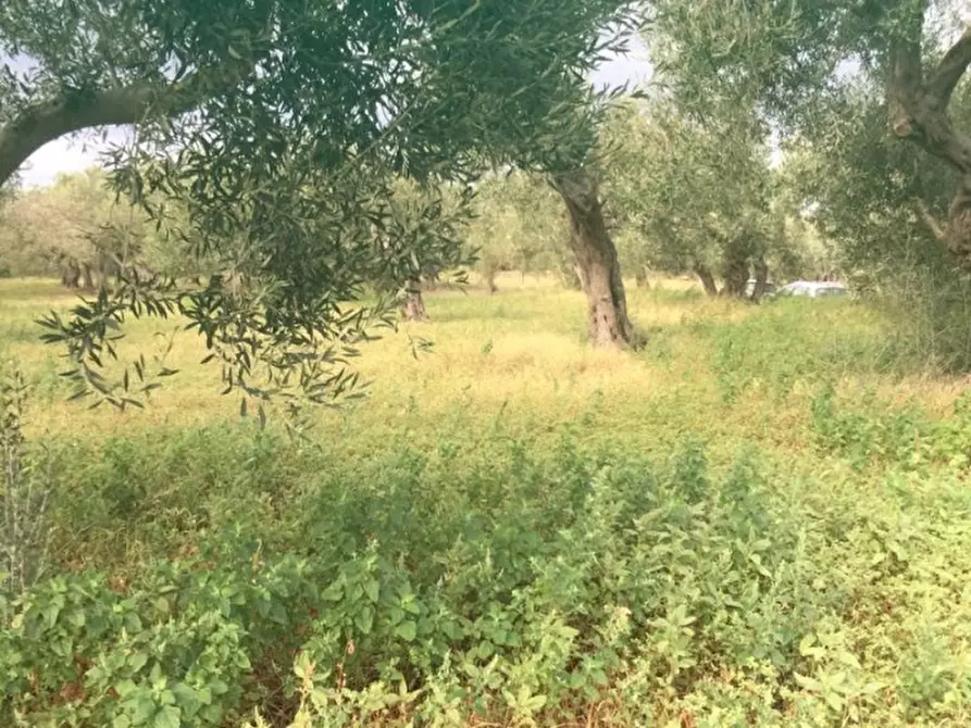 Immagine 2 di Terreno edificabile in vendita  a Messina