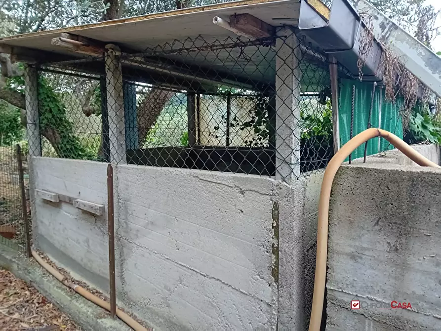 Immagine 6 di Terreno edificabile in vendita  a Messina