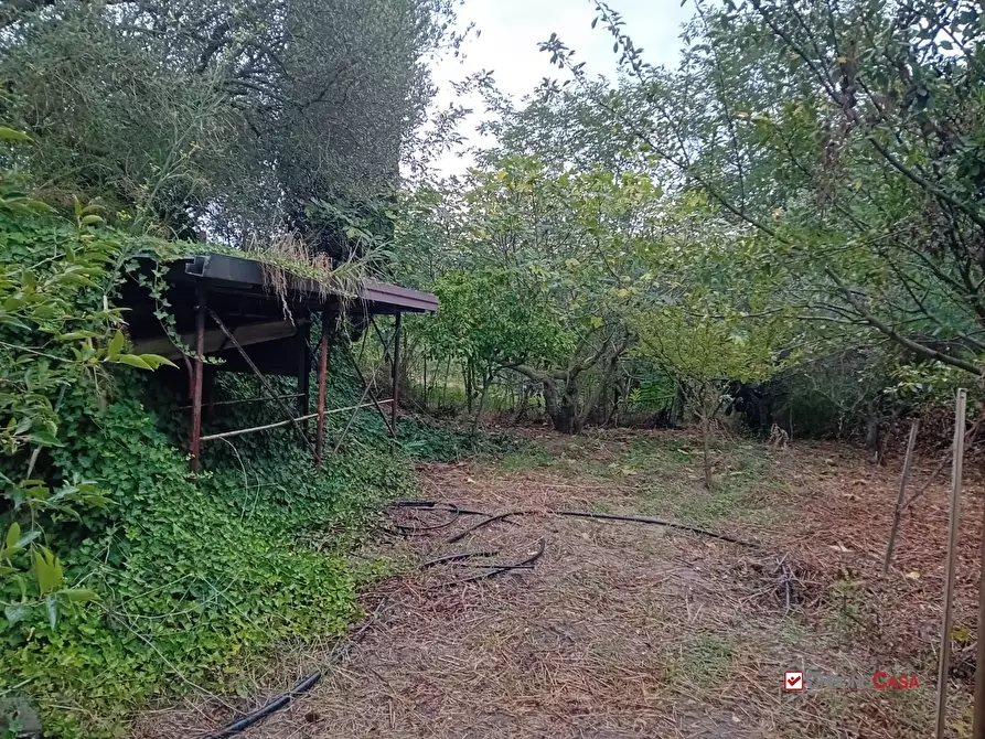 Immagine 8 di Terreno edificabile in vendita  a Messina