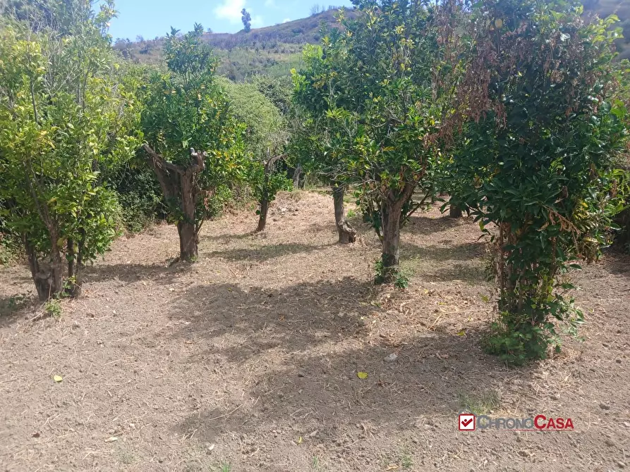 Immagine 7 di Terreno edificabile in vendita  a Pace Del Mela