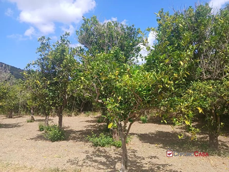 Immagine 9 di Terreno edificabile in vendita  a Pace Del Mela
