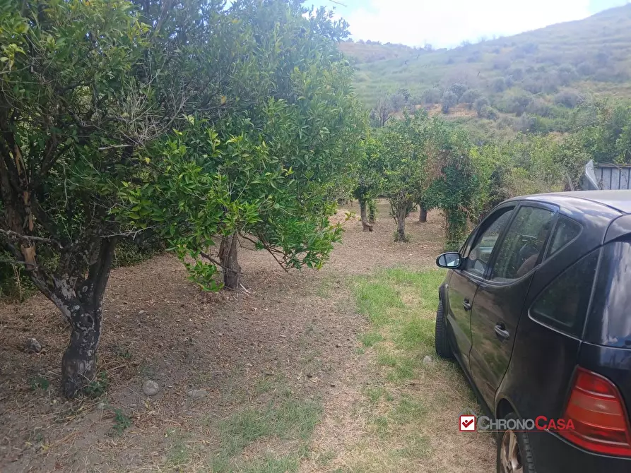 Immagine 8 di Terreno edificabile in vendita  a Pace Del Mela